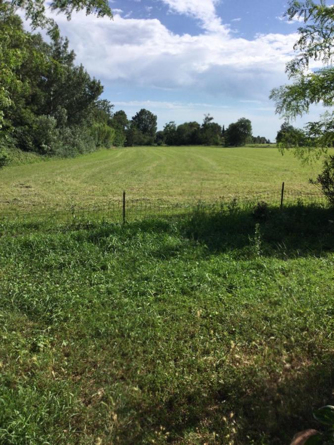 Appartement Dans Un Mas Provencal Istres Eksteriør billede